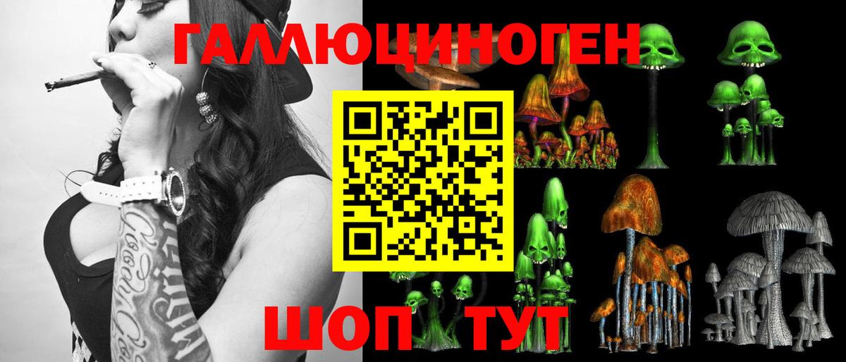 Галлюциногенные грибы Magic Shrooms  Вход с VPN  Кимовск  где купить наркотик  Галлюциногенные грибы Psilocybe 